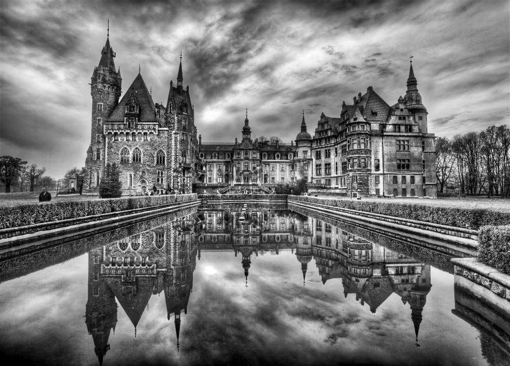 

Фотообои Walldeco Черно-белое №3661 Лоск