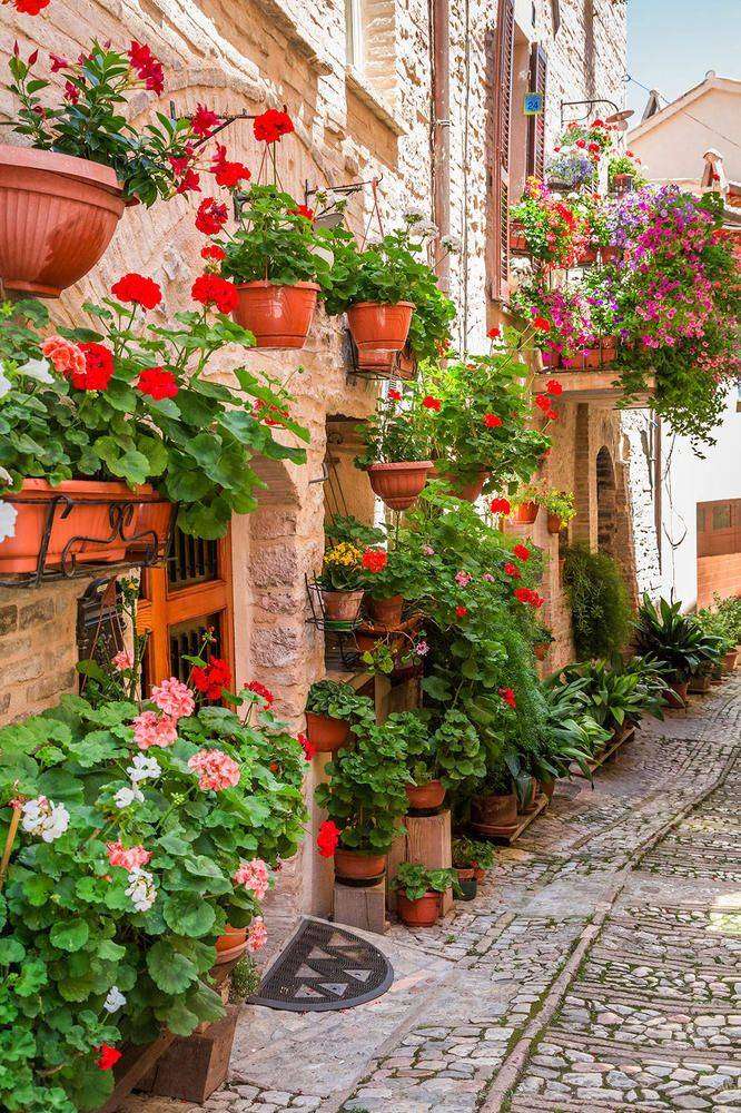 

Фотообои Walldeco Красные цветы №26917 Базальт
