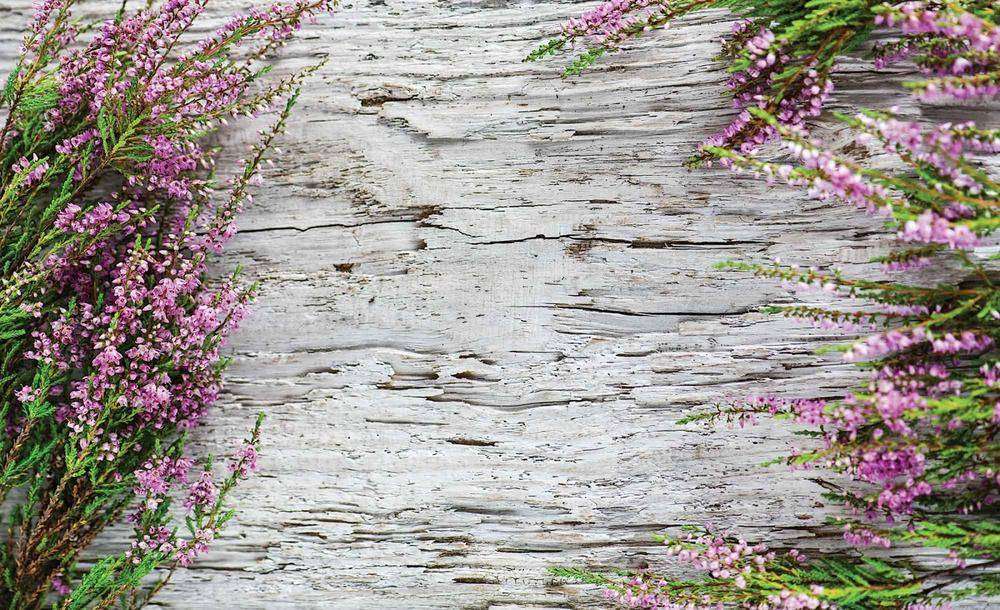 

Фотообои Walldeco Полевые цветы №des-25 Волокно