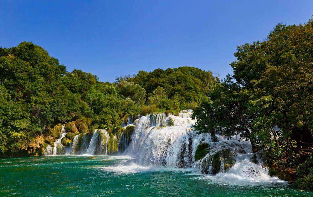 

Фотообои Walldeco Водопад в зеленом лесу №0670 Фреска
