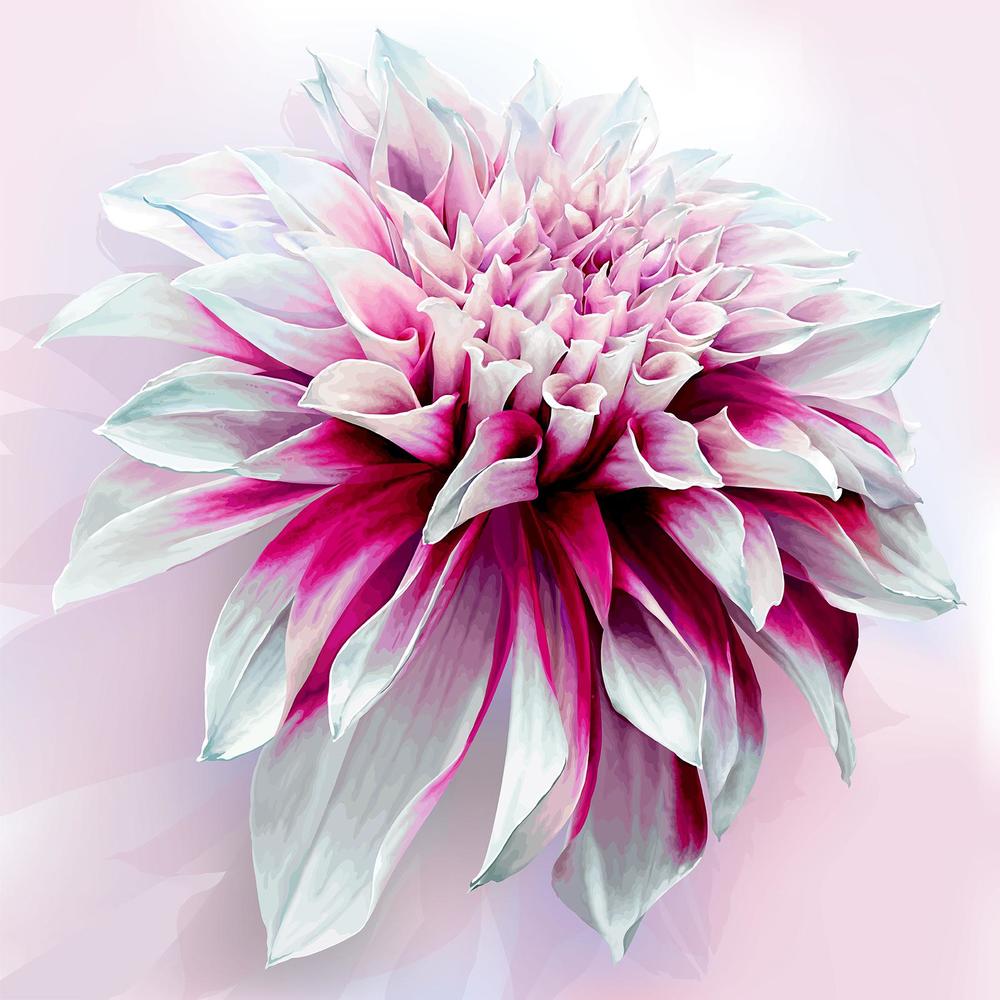 

Фотообои Walldeco Бутон георгины №33457 Базальт