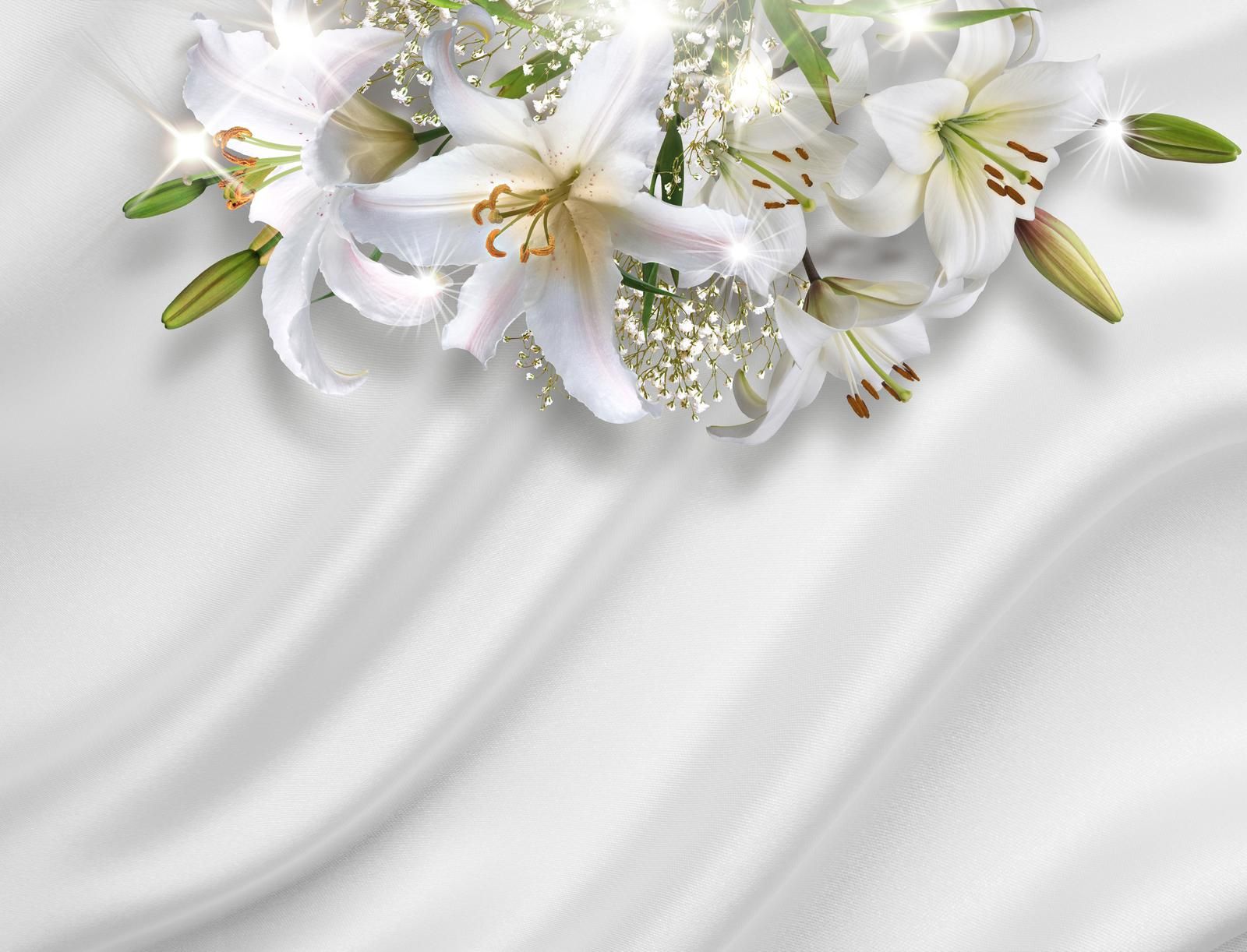 

Фотообои Walldeco Белоснежные лилии №33294 Жаккард