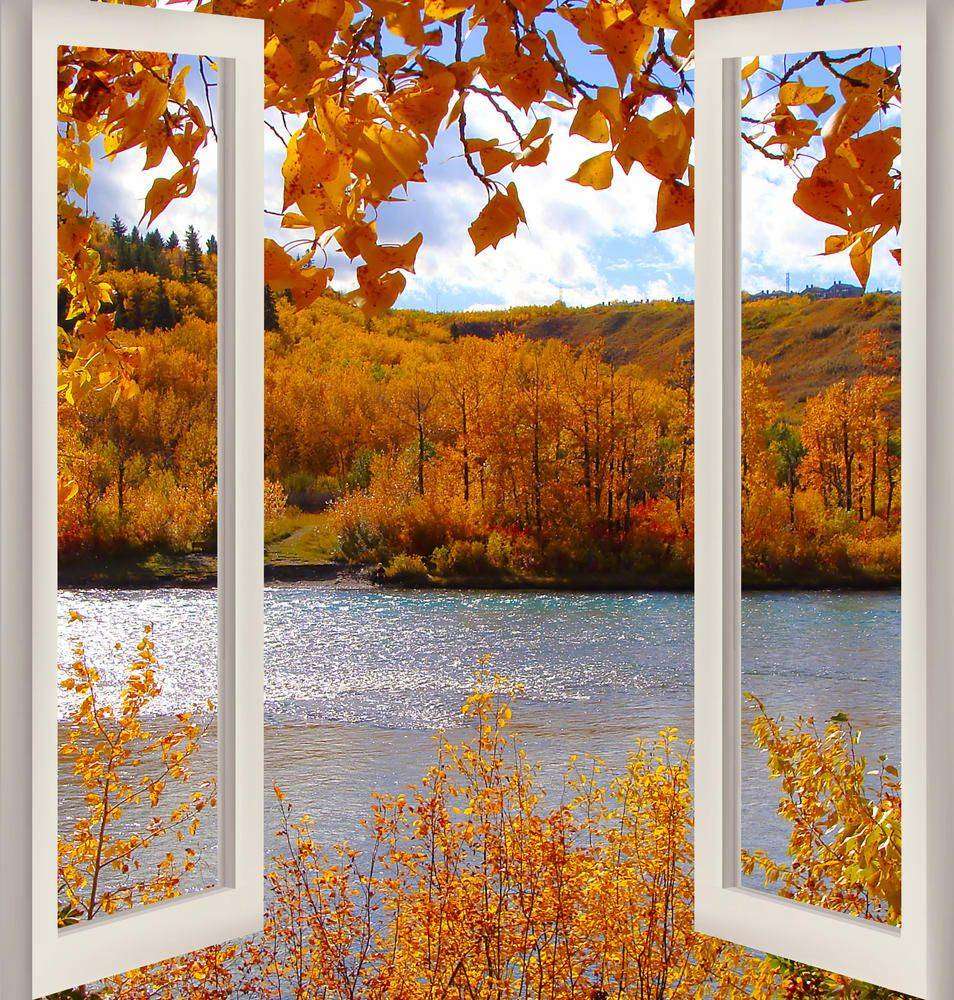 

Фотообои Walldeco Золотая осень №w_6117_5085 Деко