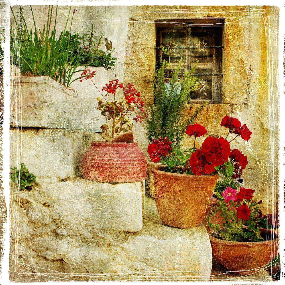 

Фотообои Walldeco Цветы в горшках на ступенях №0059 Фреска