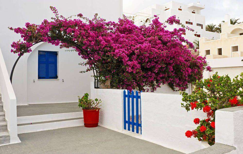 

Фотообои Walldeco Дом в Греции №4896 Лоск