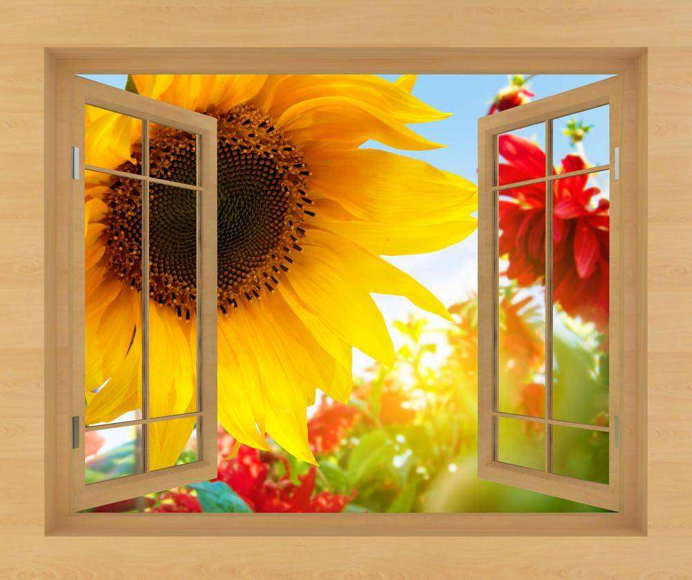 

Фотообои Walldeco Подсолнух №w_6103_4095 Лоск