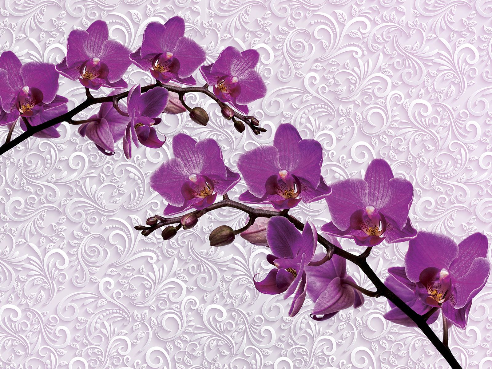 

Фотообои Walldeco Красивые розовые орхидеи №27314 Волокно