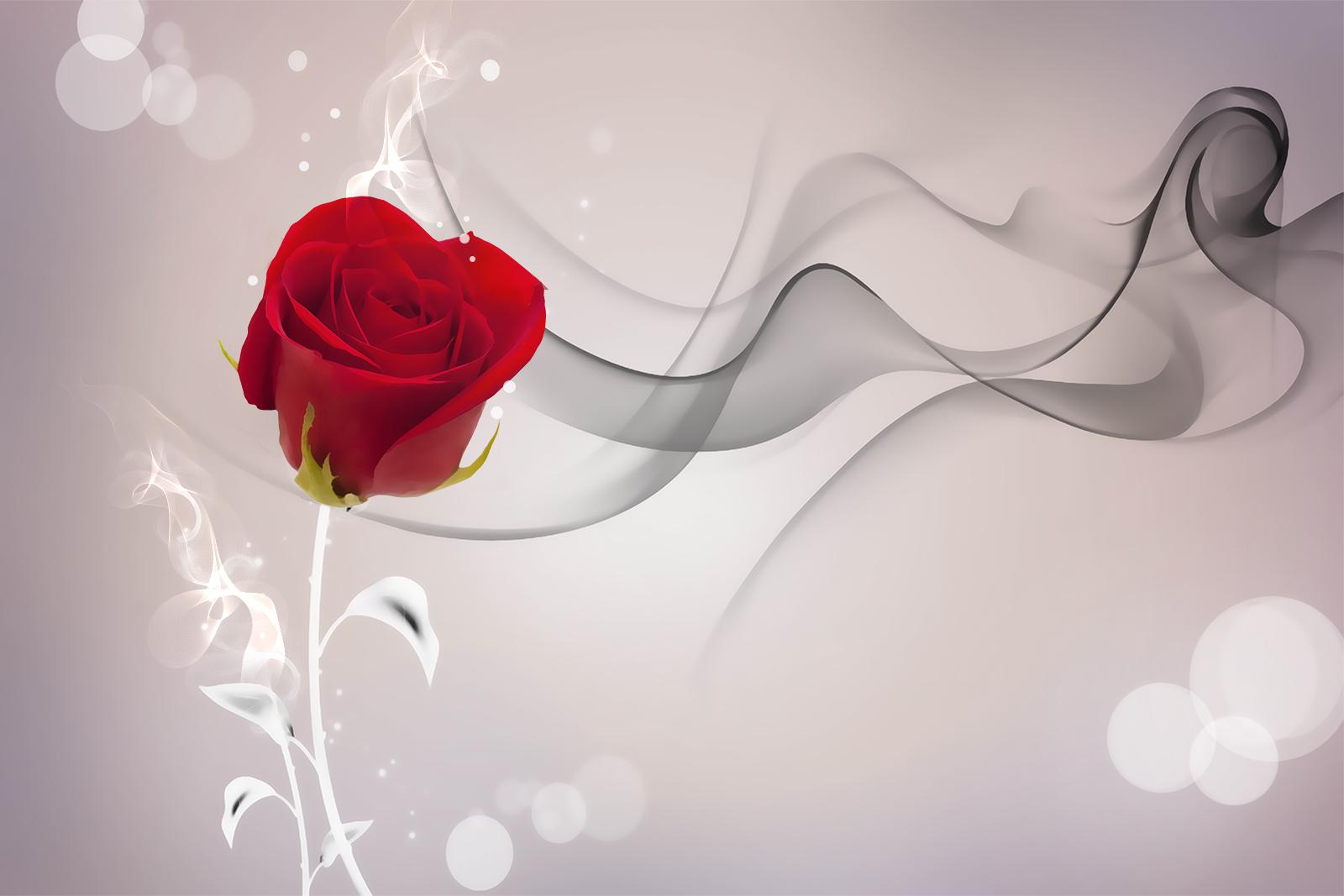

Фотообои Walldeco Красный бутон №36804 Лоск