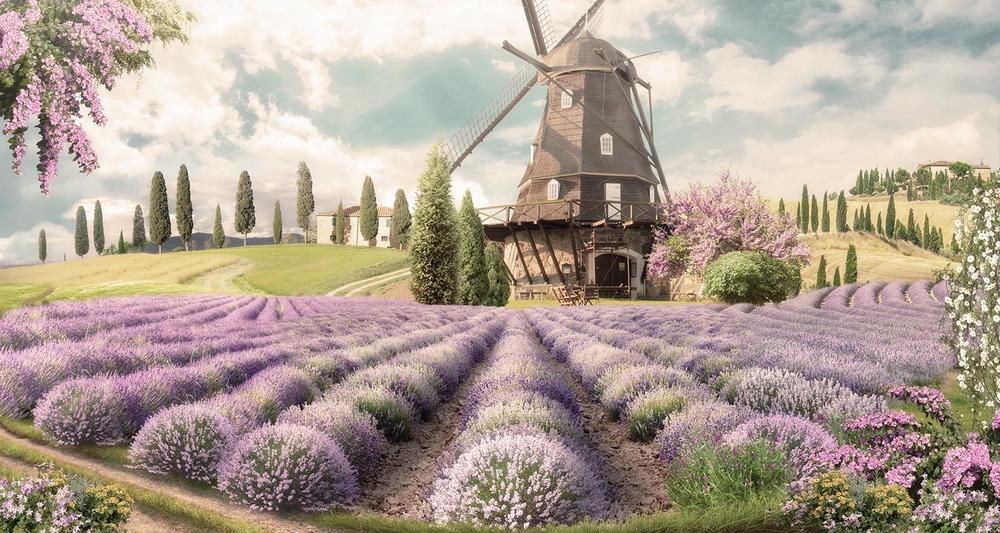 

Фотообои Walldeco Лавандовое поле №33458 Лоск