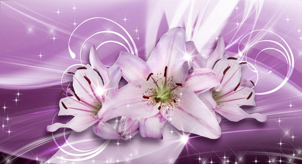 

Фотообои Walldeco Фиолетовые лилии №31368 Фреска