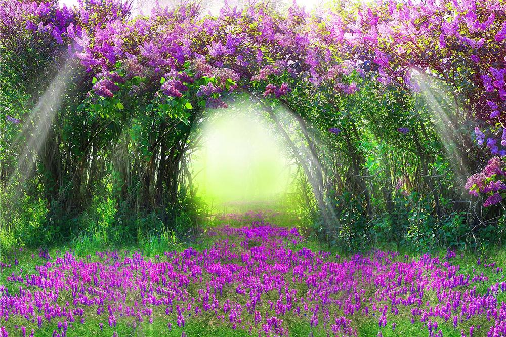 

Фотообои Walldeco Сиреневые цветы №33318 Деко