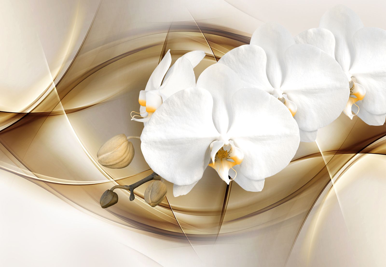 

Фотообои Walldeco Веточка орхидеи №33520 Деко