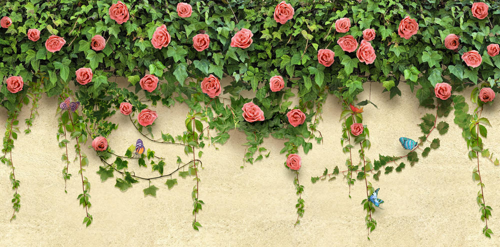 

Фотообои Walldeco Гирлянда роз №30968 Деко