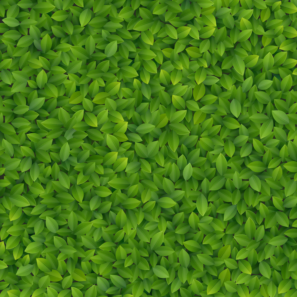 

Фотообои Walldeco Фон из листьев №27799 Деко