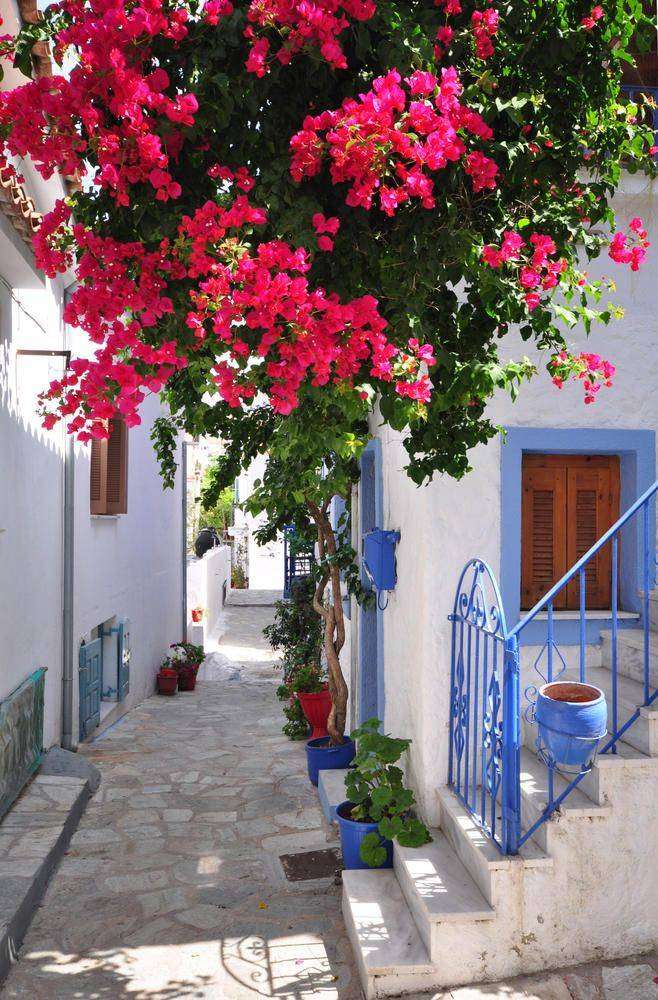 

Фотообои Walldeco Улица в Греции №3598 Жаккард
