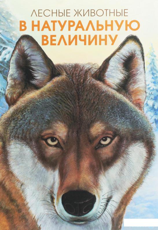 

Книга Лесные животные в натуральную величину (1259449)