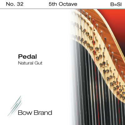 

Струна A5 для арфы Bow Brand Pedal Natural Gut PS-33A5