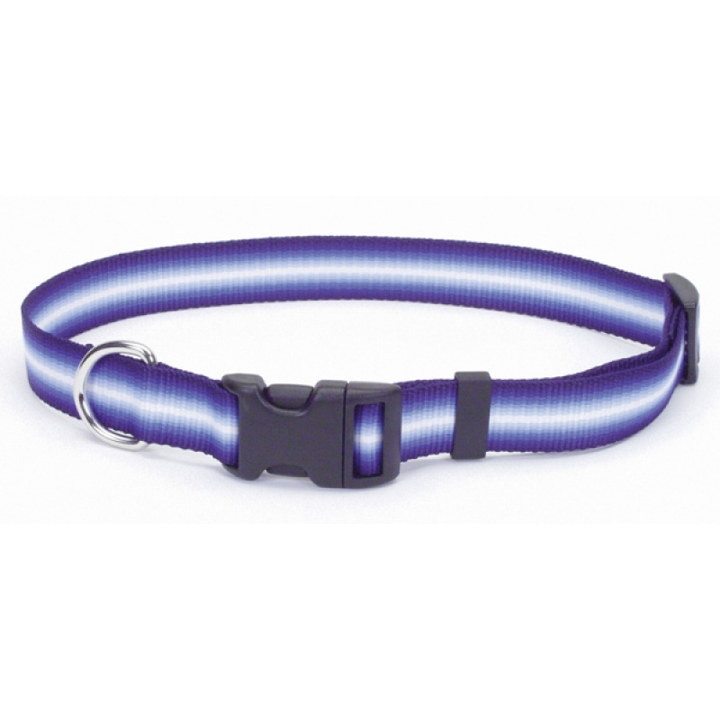 

Trendz Graduated ошейник для собак, 30 x 1 см синий Coastal BGL-ZB-00173