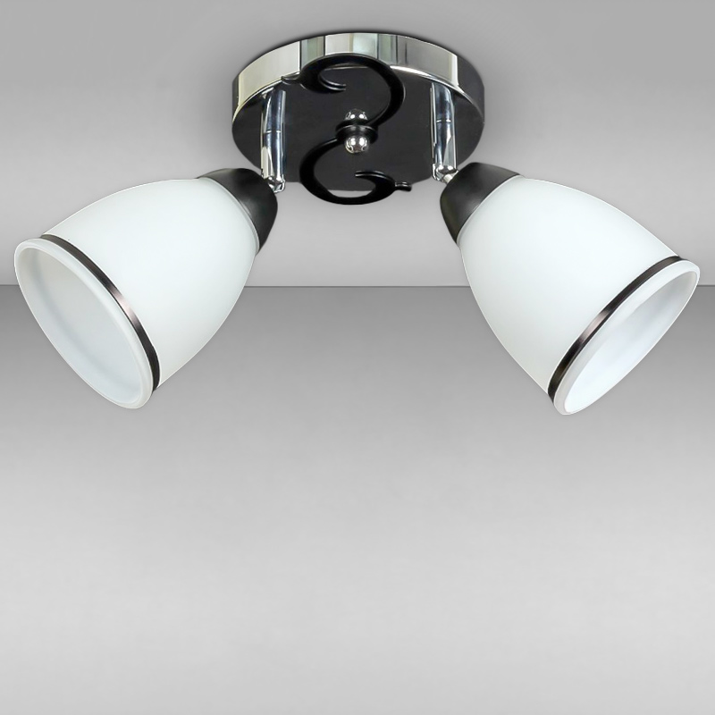 

Люстра стельова Light House SH-12608/2 CR+BK хром