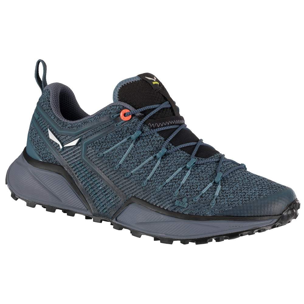 

Кросівки Salewa WS Dropline 38 Синій (1054-013.001.4955)
