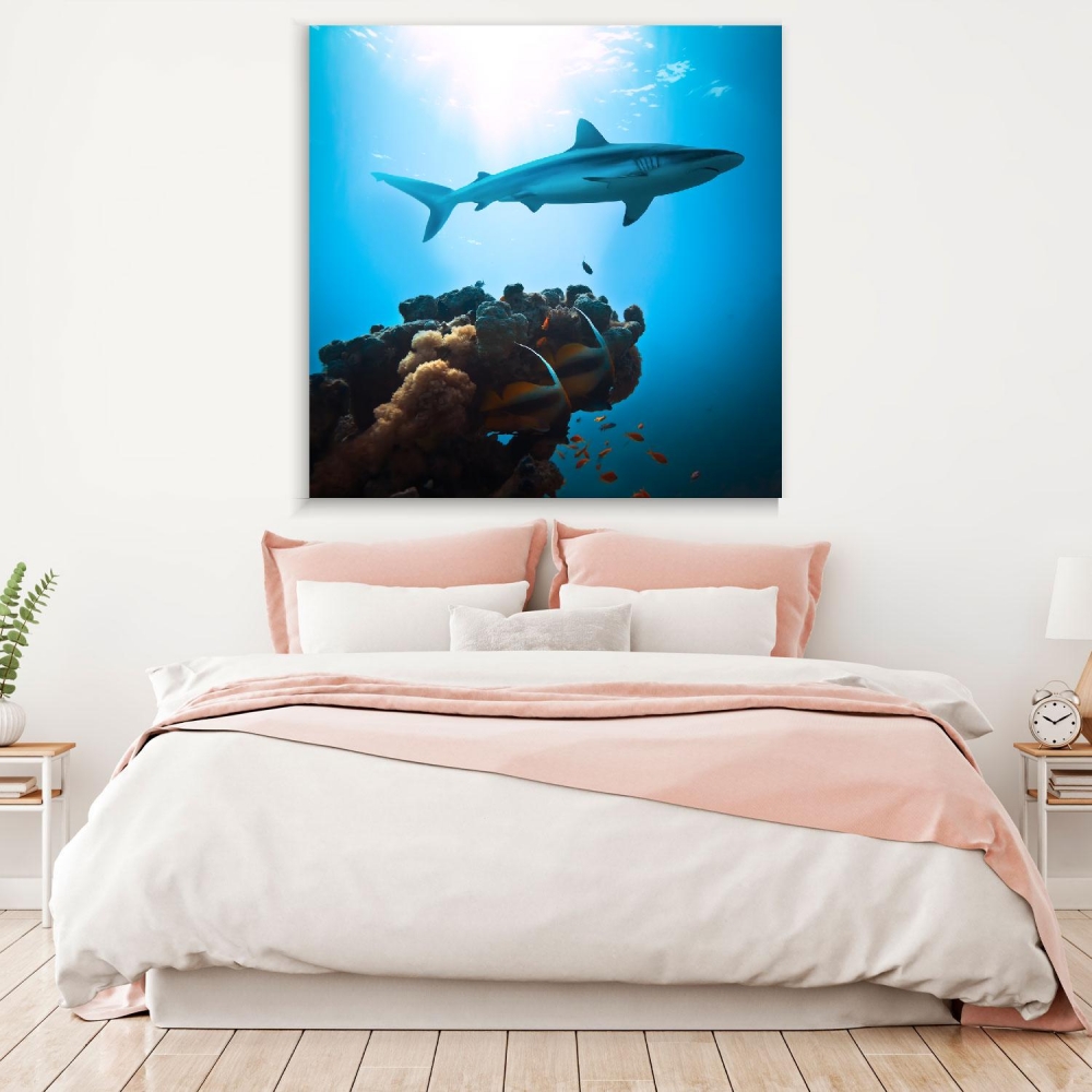 

Картина на холсте Животные Shark In The Blue Sea 80х80 см.
