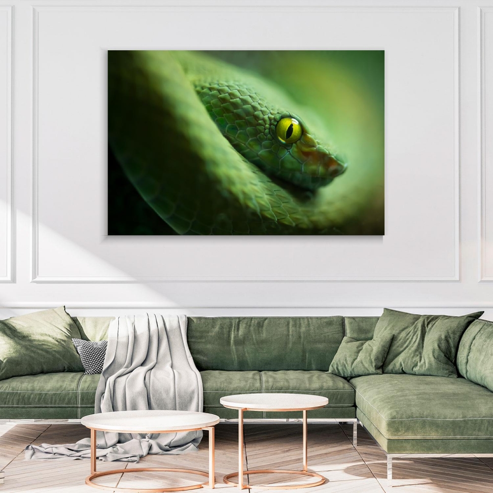 

Картина на холсте Животные Green Mamba Snake 90х120 см.