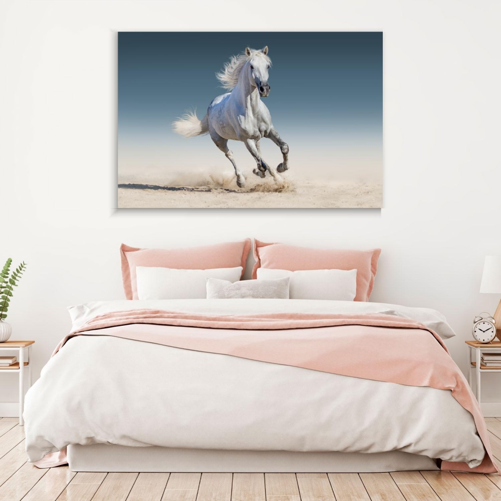 

Картина на холсте Животные White Horse Run Gallop 90х120 см.