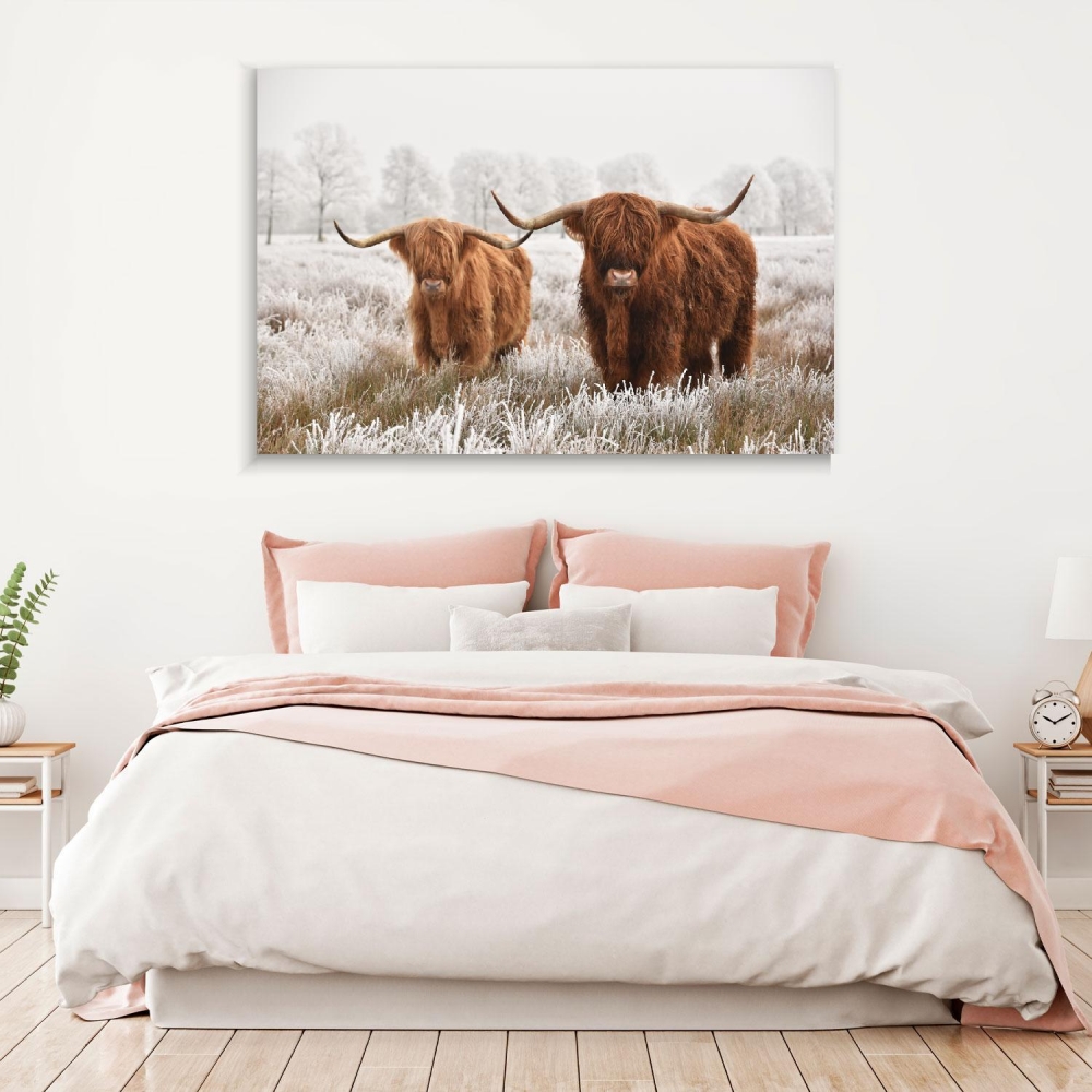 

Картина на холсте Животные Hairy Scottish Highlanders 50х65 см.