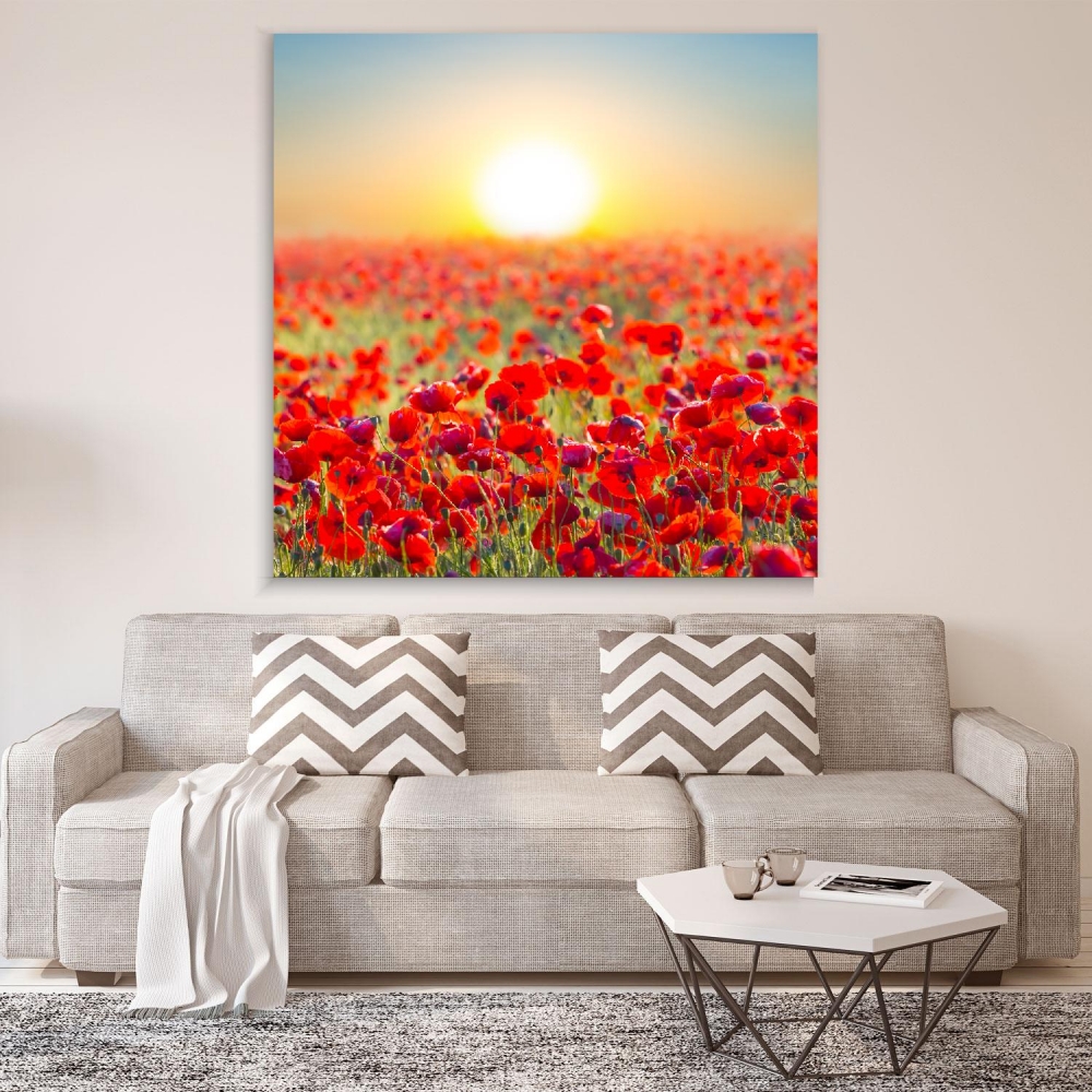 

Картина на холсте Природа Red Poppy Field 50х50 см.