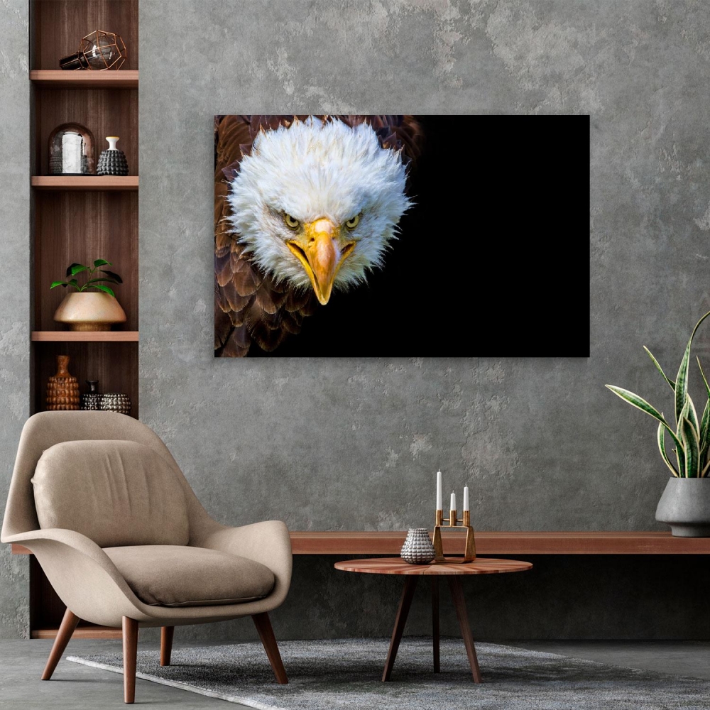 

Картина на холсте Животные Bald Eagle 60х120 см.