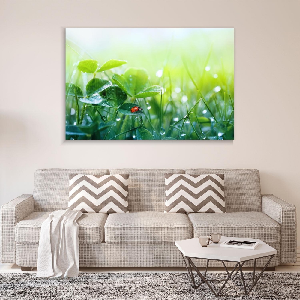

Картина на холсте Природа Morning Fresh Grass And Ladybug 50х65 см.