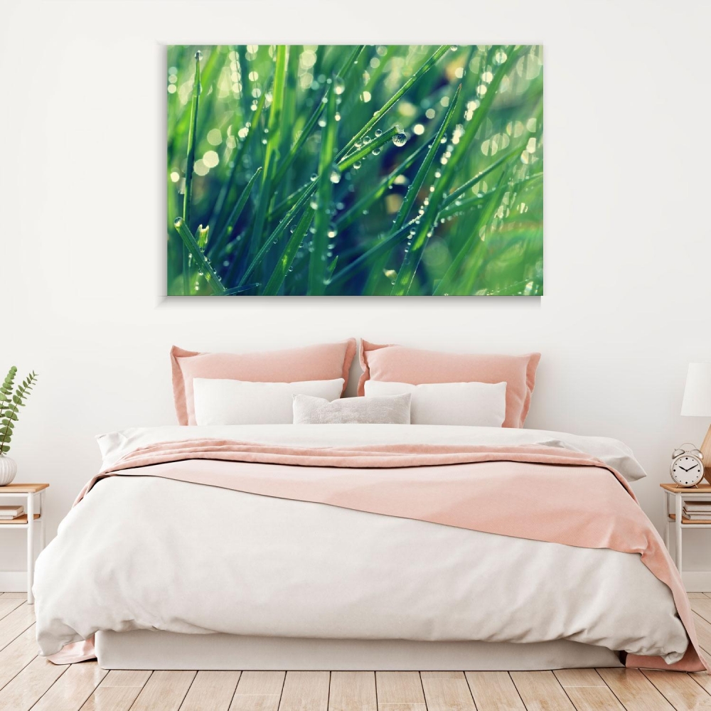 

Картина на холсте Природа Dew On Green Grass 45х60 см.