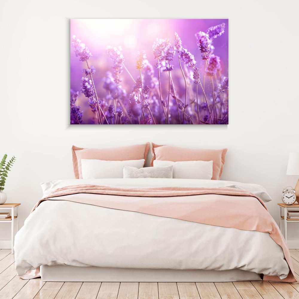 

Картина на холсте Природа Lavender Field 50х65 см.