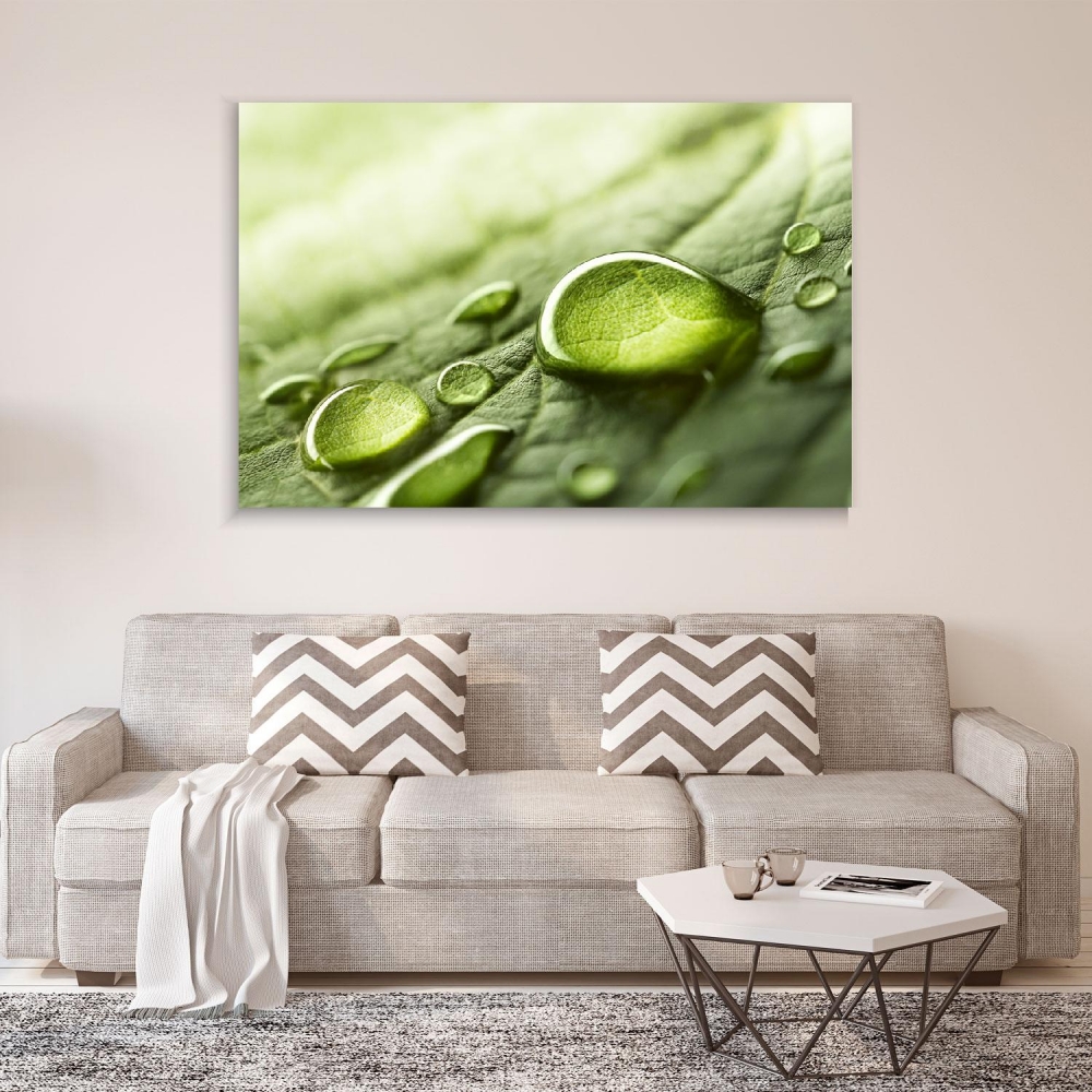 

Картина на холсте Природа Raindrops On A Leaf 75х100 см.