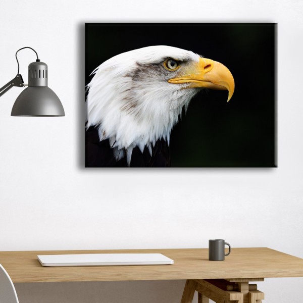 

Картина на холсте Животные Eagle 110х150 см.