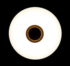 

Люстра Светодиодная люстра Ray LY8339/24W*2 LED+bluetooth (WT) (AN001723)