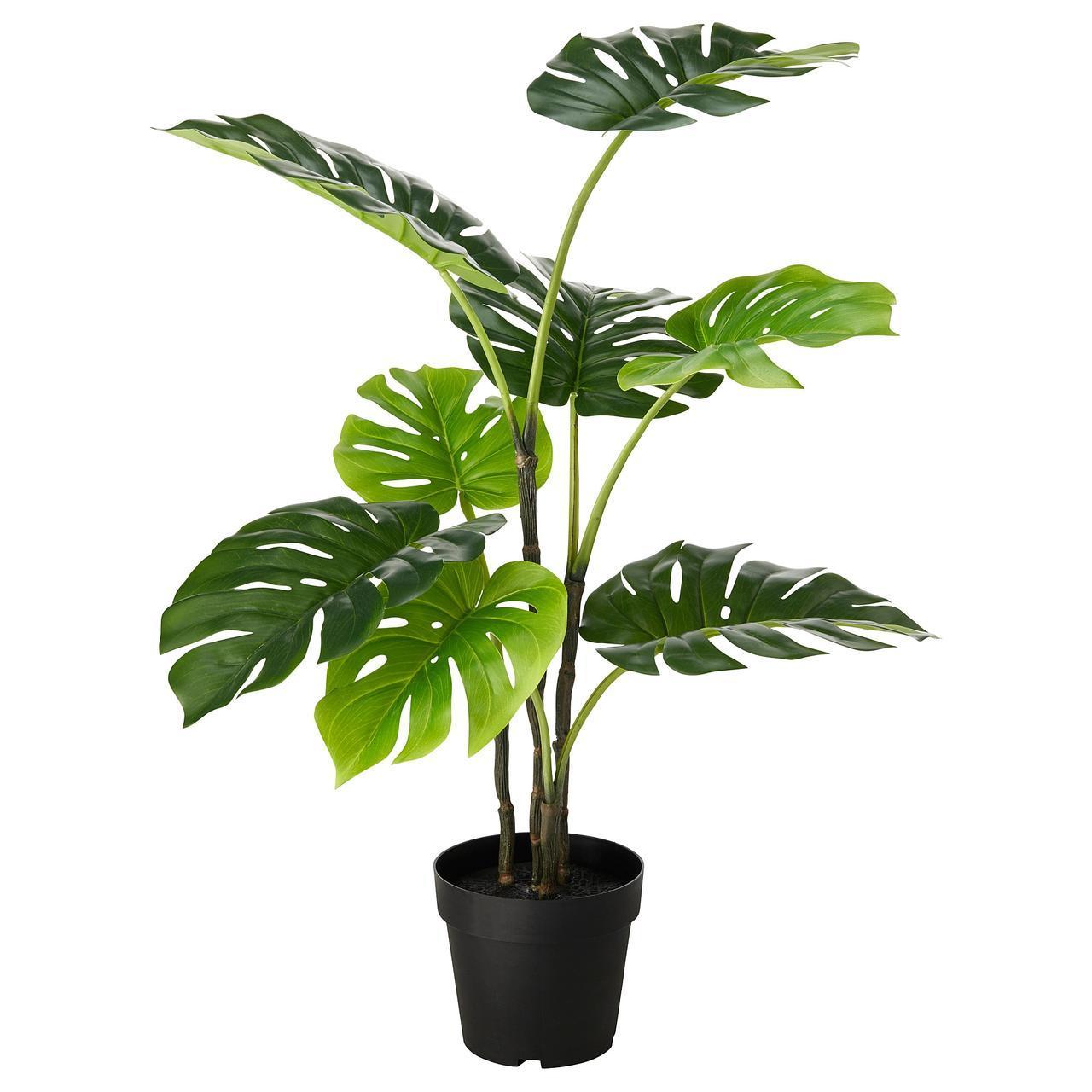 

Искусственное растение в горшке IKEA FEJKA 19 см Monstera (403.952.88)