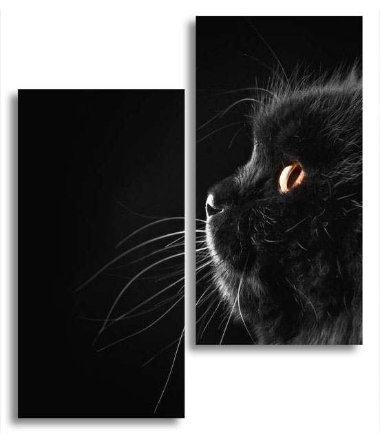 

Модульная картина LaPrint Котик 130х150 см