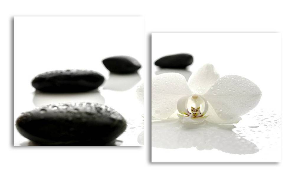 

Модульная картина LaPrint Белая орхидея и галька 100х54 см