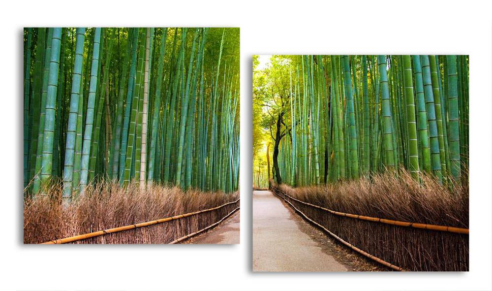 

Модульная картина LaPrint Бамбук 100х54 см