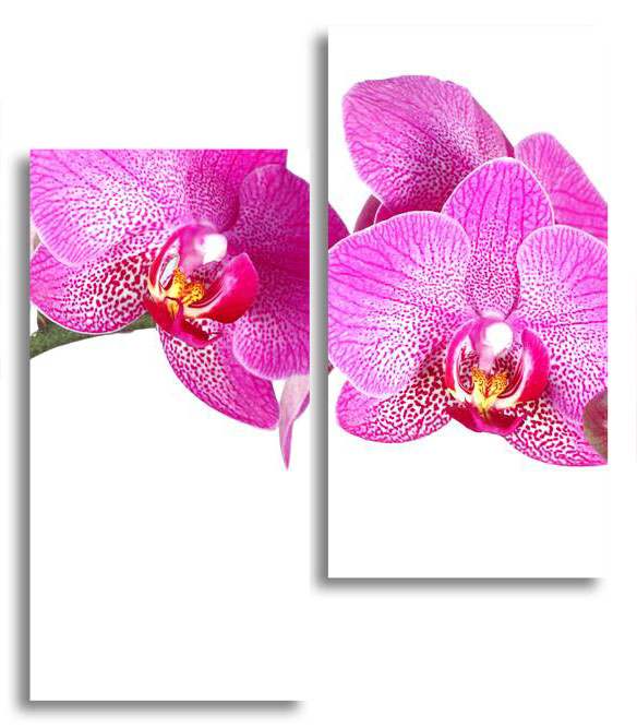 

Модульная картина LaPrint Фиолетовая орхидея 100х116 см