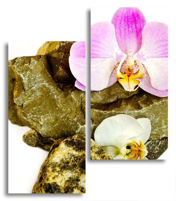 

Модульная картина LaPrint Орхидея и камни 100х116 см