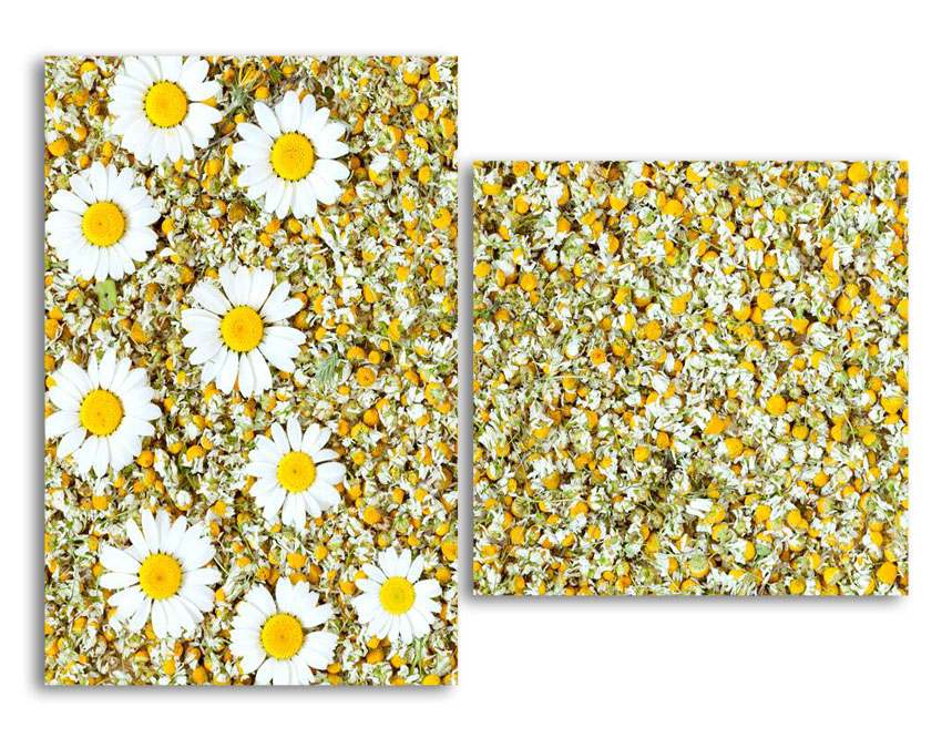 

Модульная картина LaPrint Ромашки 130х94 см