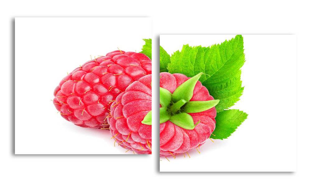 

Модульная картина LaPrint Малина 130х70 см