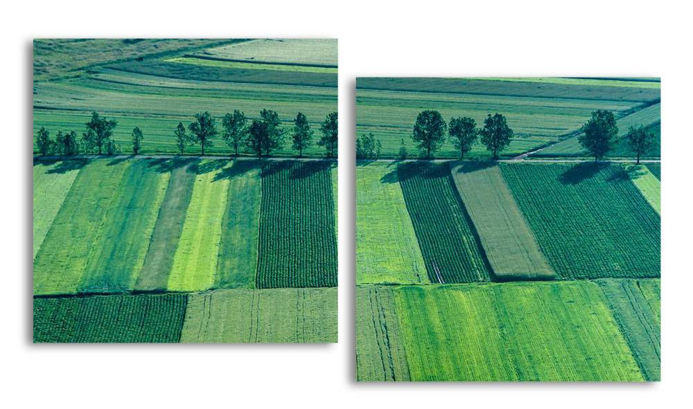 

Модульная картина LaPrint Поля 130х70 см