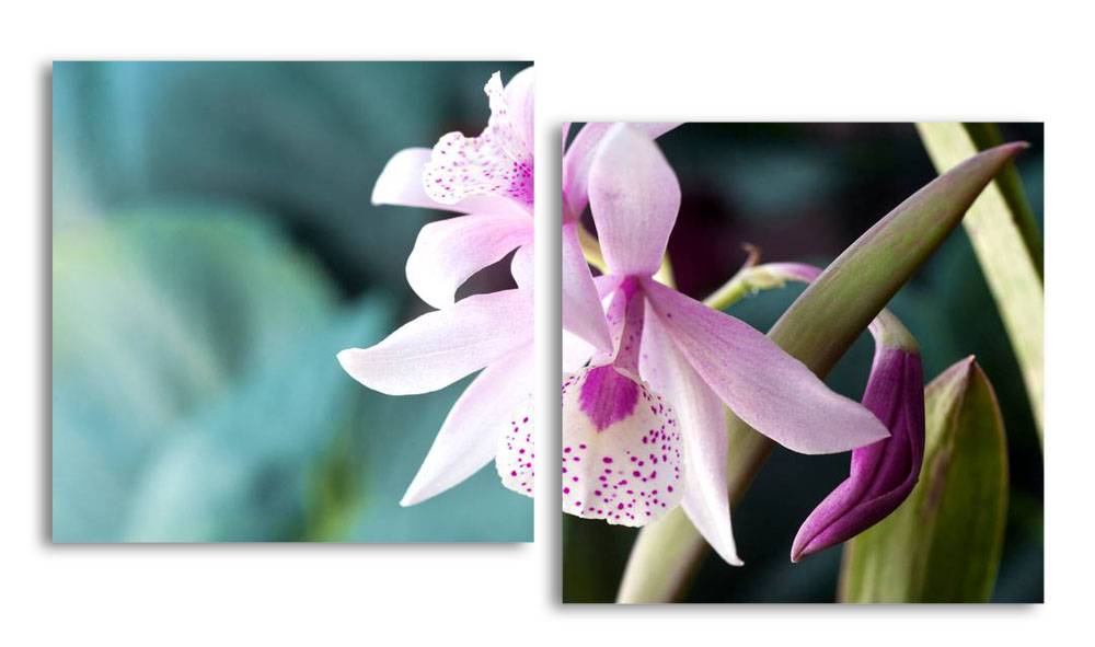 

Модульная картина LaPrint Розовая орхидея 130х70 см