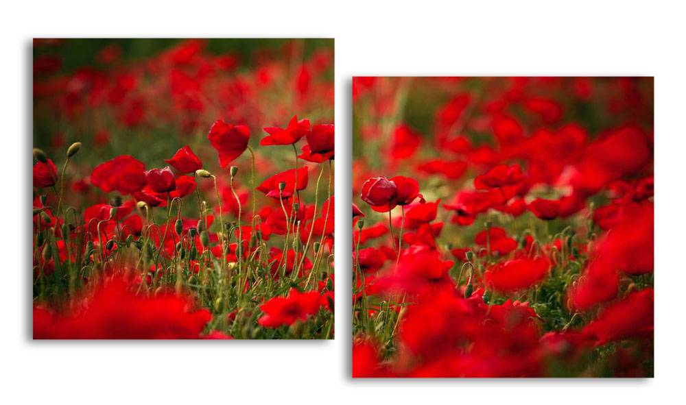 

Модульная картина LaPrint Маковое поле 130х70 см