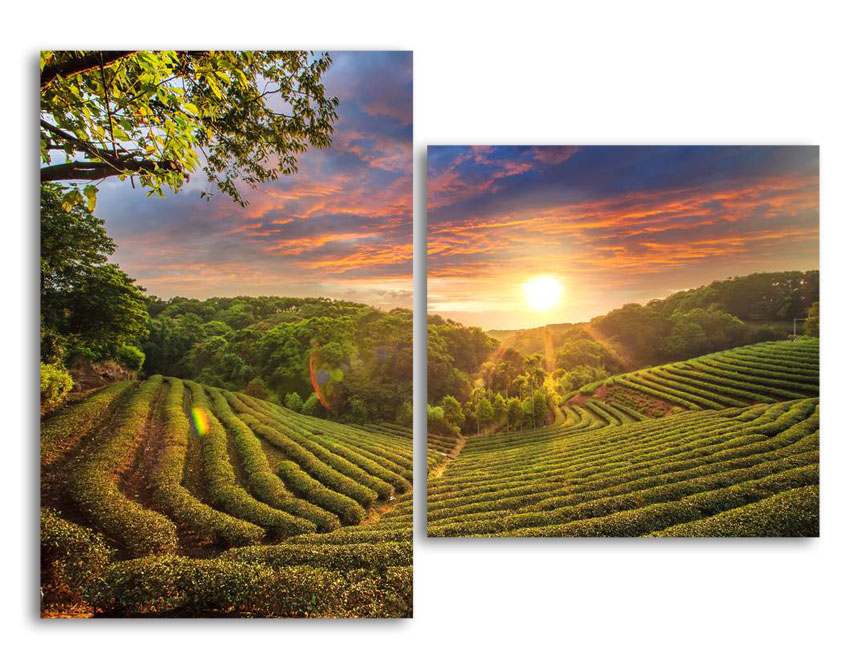 

Модульная картина LaPrint Зеленая долина 130х94 см