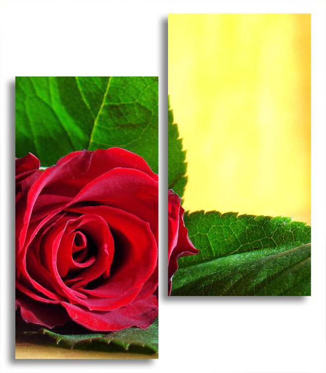 

Модульная картина LaPrint Роза 130х150 см