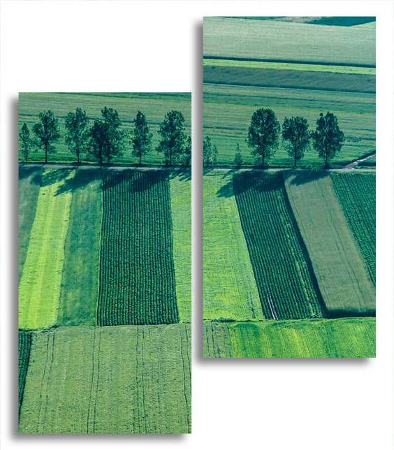 

Модульная картина LaPrint Поля 130х150 см